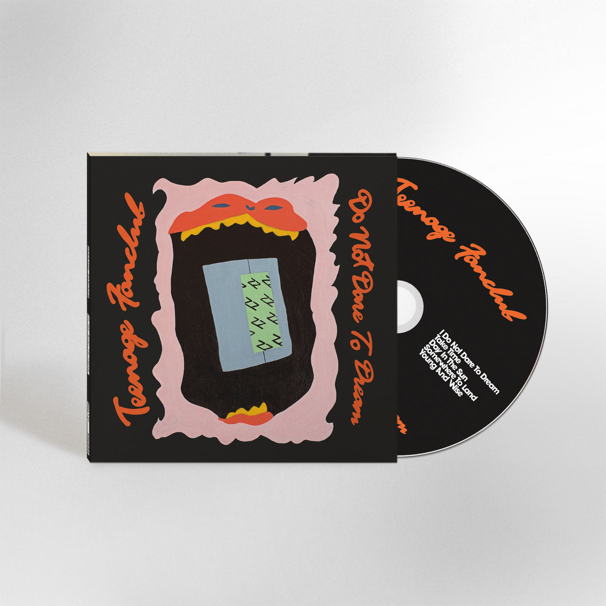 Teenage Fanclub - Do Not Dare To Dream – Spindizzy Dublin