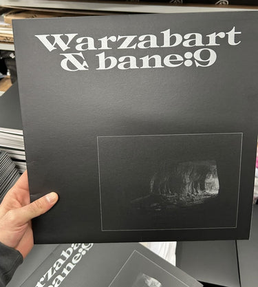 Vinyl LP