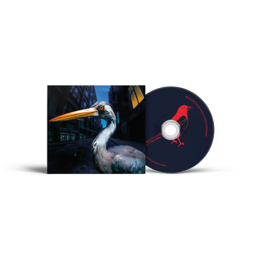 Antony Szmierek - Decoding Birdsong