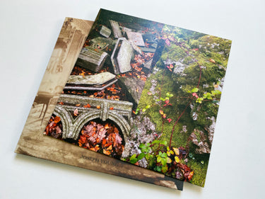 Joseph Young - Sonic Hauntings in a Big House,