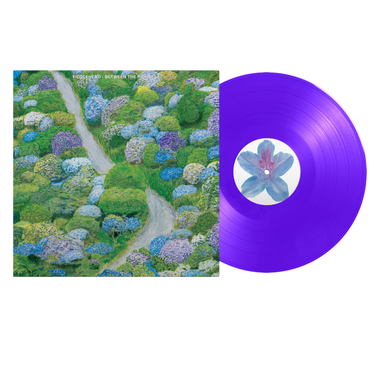 FIDDLEHEAD - Between the Richness