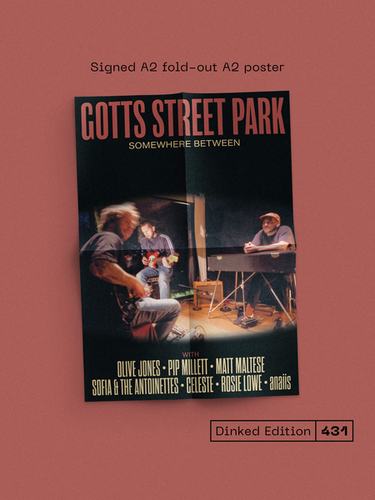 Gotts Street Park - Somewhere Between