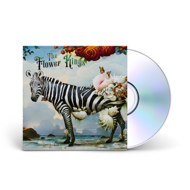 CD