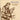 SEAMUS ENNIS - 40 Years