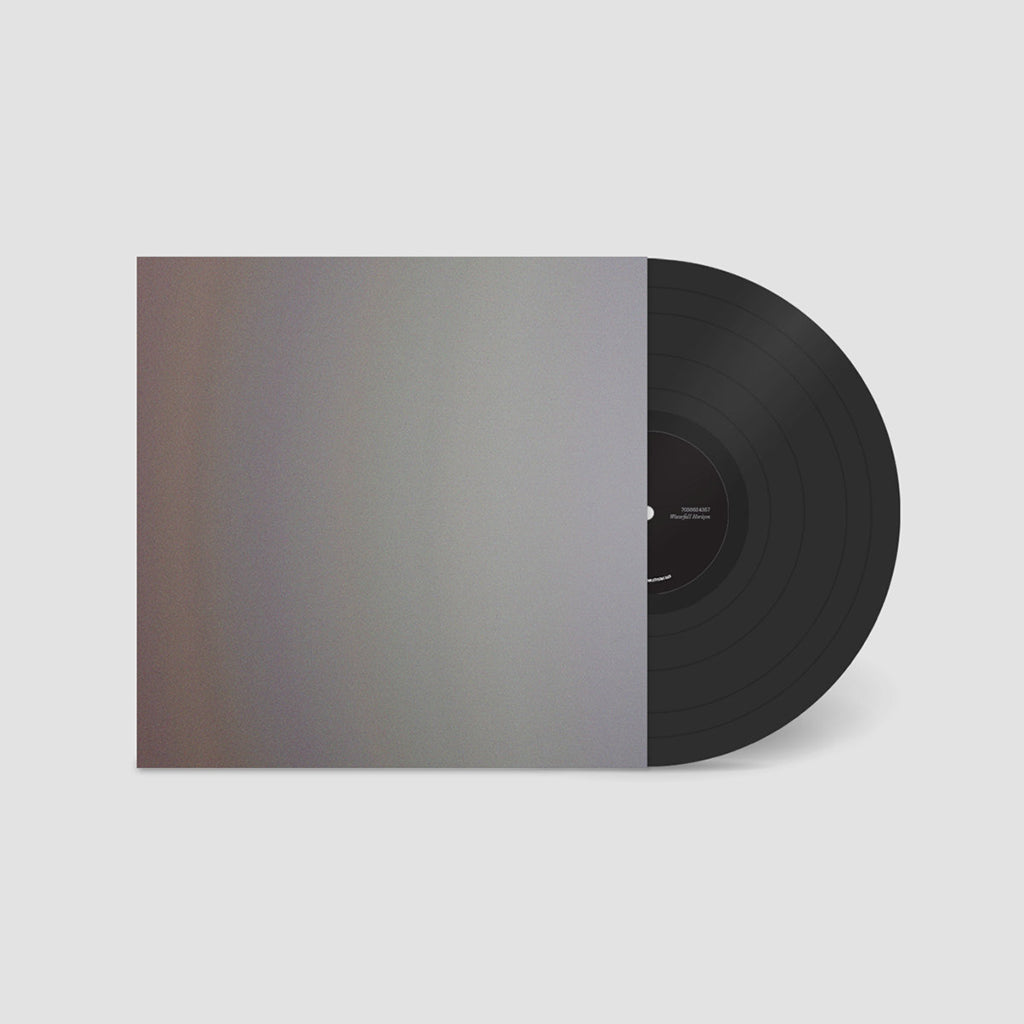 7038634357 - Waterfall Horizon - LP - Vinyl [JUN 13]