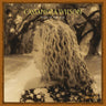 180g Vinyl 2LP, Gatefold Sleeve