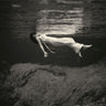 Bill Evans & Jim Hall - Undercurrent