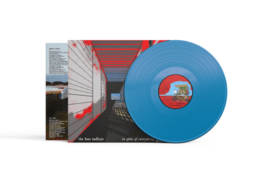THE BOO RADLEYS - In Spite Of Everything