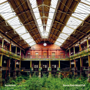 ANDERSON - Some Rain Must Fall - LP - Vinyl