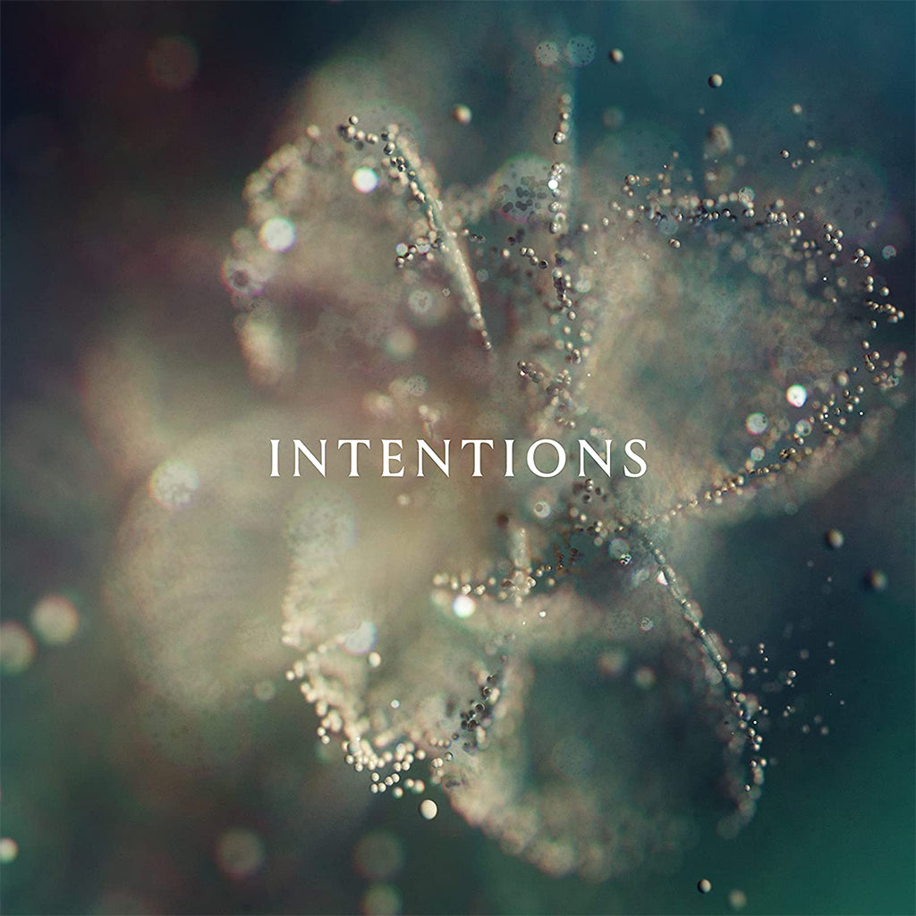 ANNA - Intentions - 2LP - Vinyl