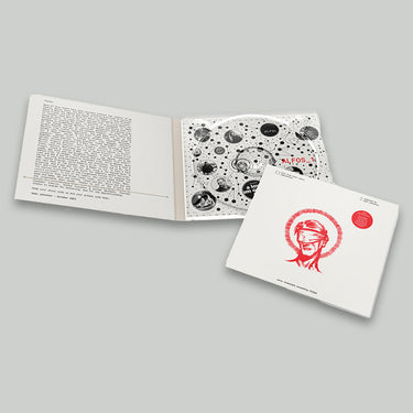 VARIOUS - A Love From Outer Space (Compiled by Sean Johnston) - 2CD