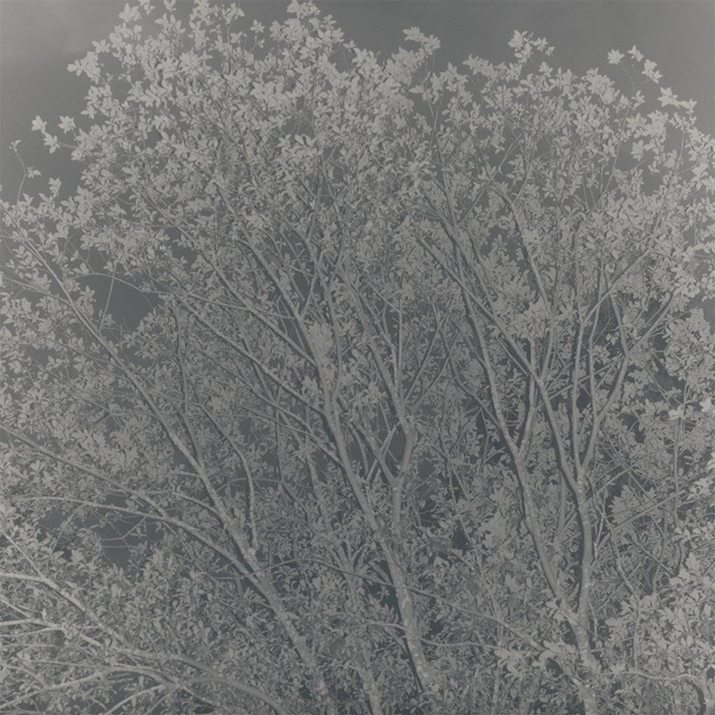 ACTRESS - Statik - LP - Black Vinyl