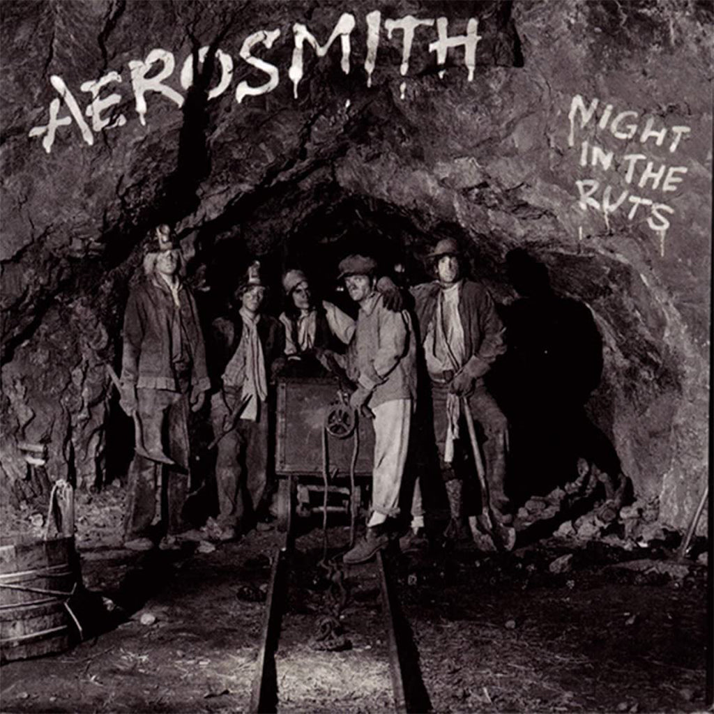 AEROSMITH - Night In The Ruts (2023 Reissue) - LP - Vinyl