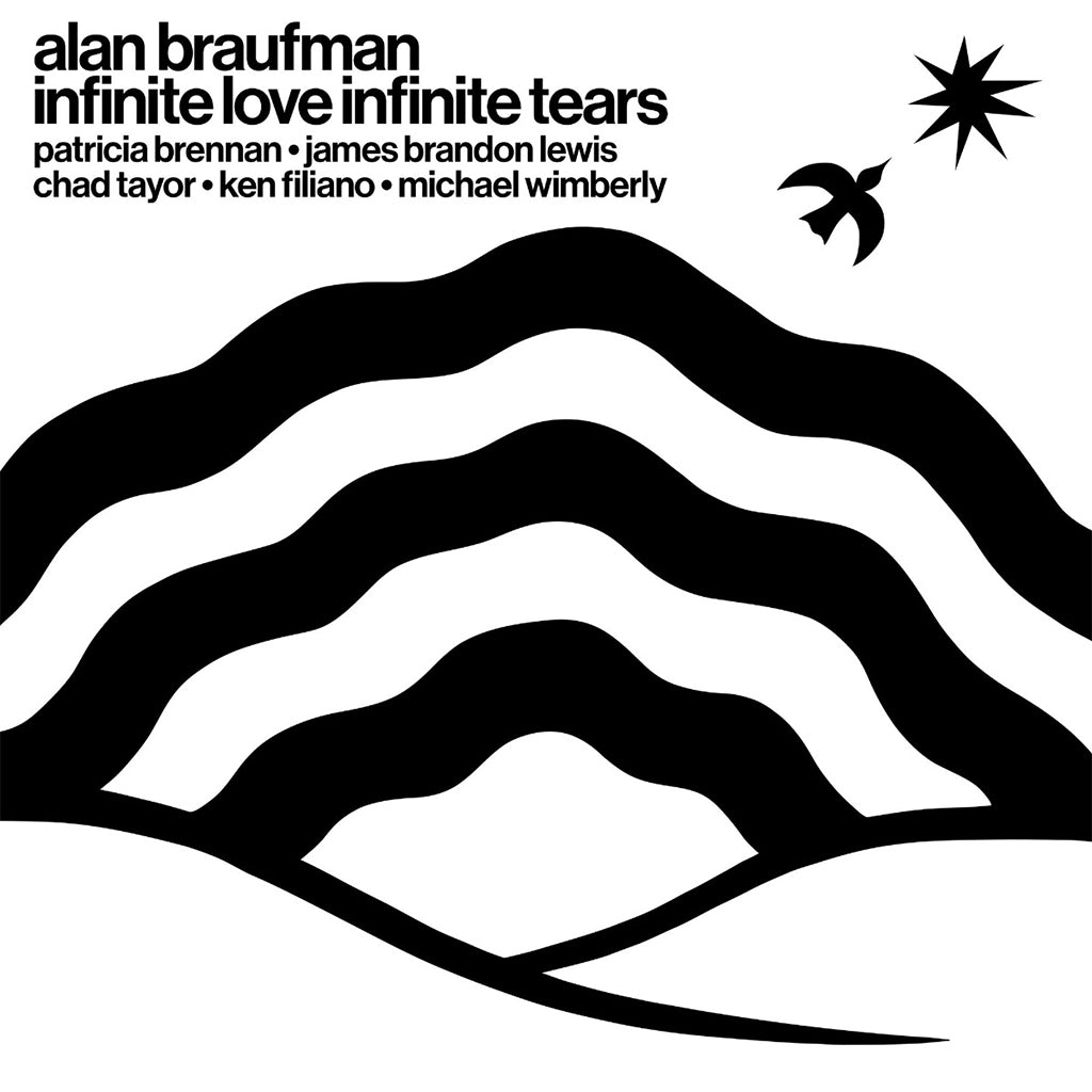 ALAN BRAUFMAN - Infinite Love Infinite Tears - LP - Vinyl [MAY 17]