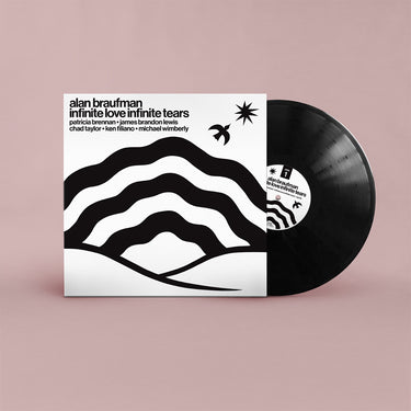 ALAN BRAUFMAN - Infinite Love Infinite Tears - LP - Vinyl