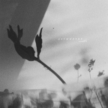 ALEX KOZOBOLIS - Asymmetry - LP - Vinyl [OCT 24]