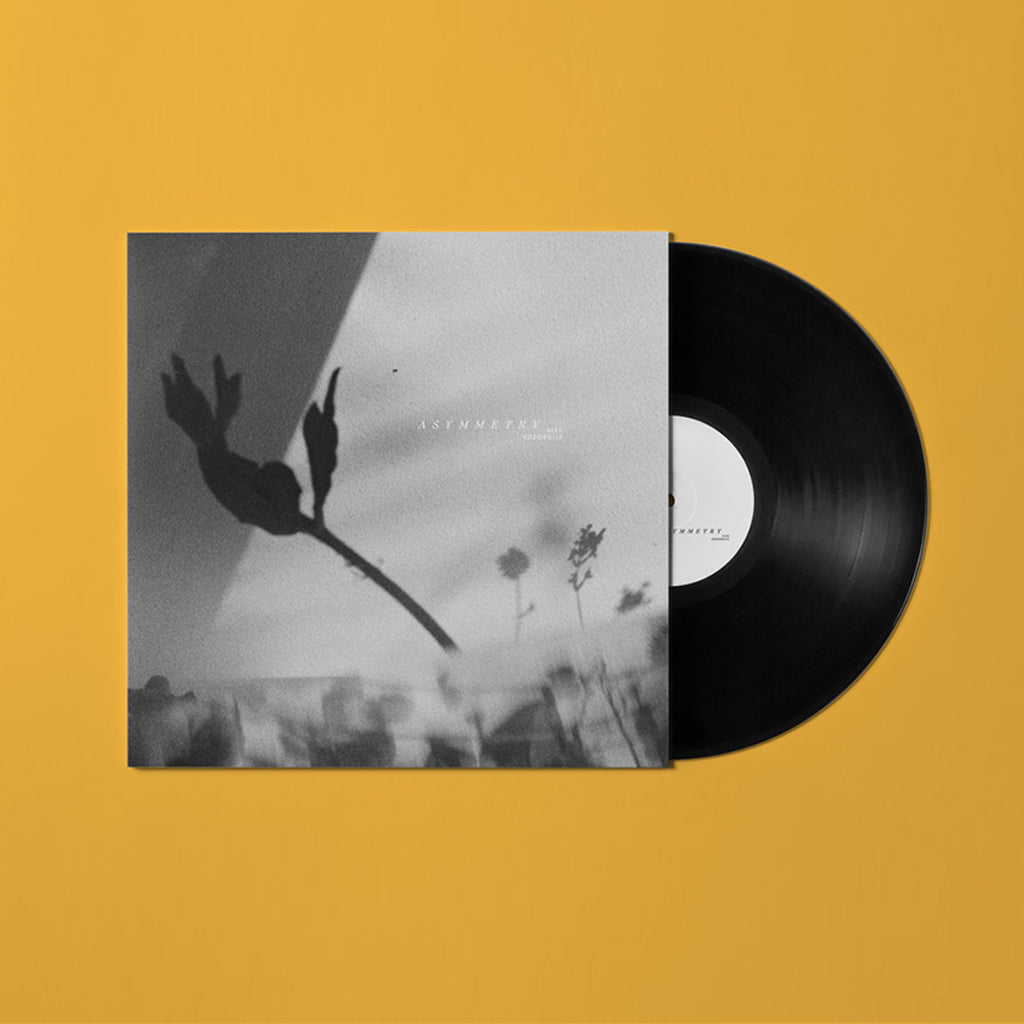 ALEX KOZOBOLIS - Asymmetry - LP - Vinyl [OCT 24]