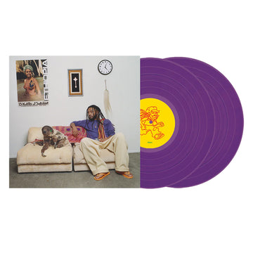 AMINÉ - 13 Months Of Sunshine - 2LP - Gatefold Purple Vinyl [JUN 6]