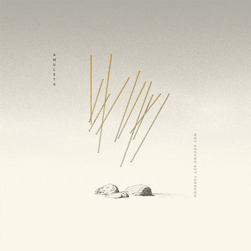 AMULETS - Not Around But Through - LP - Vinyl