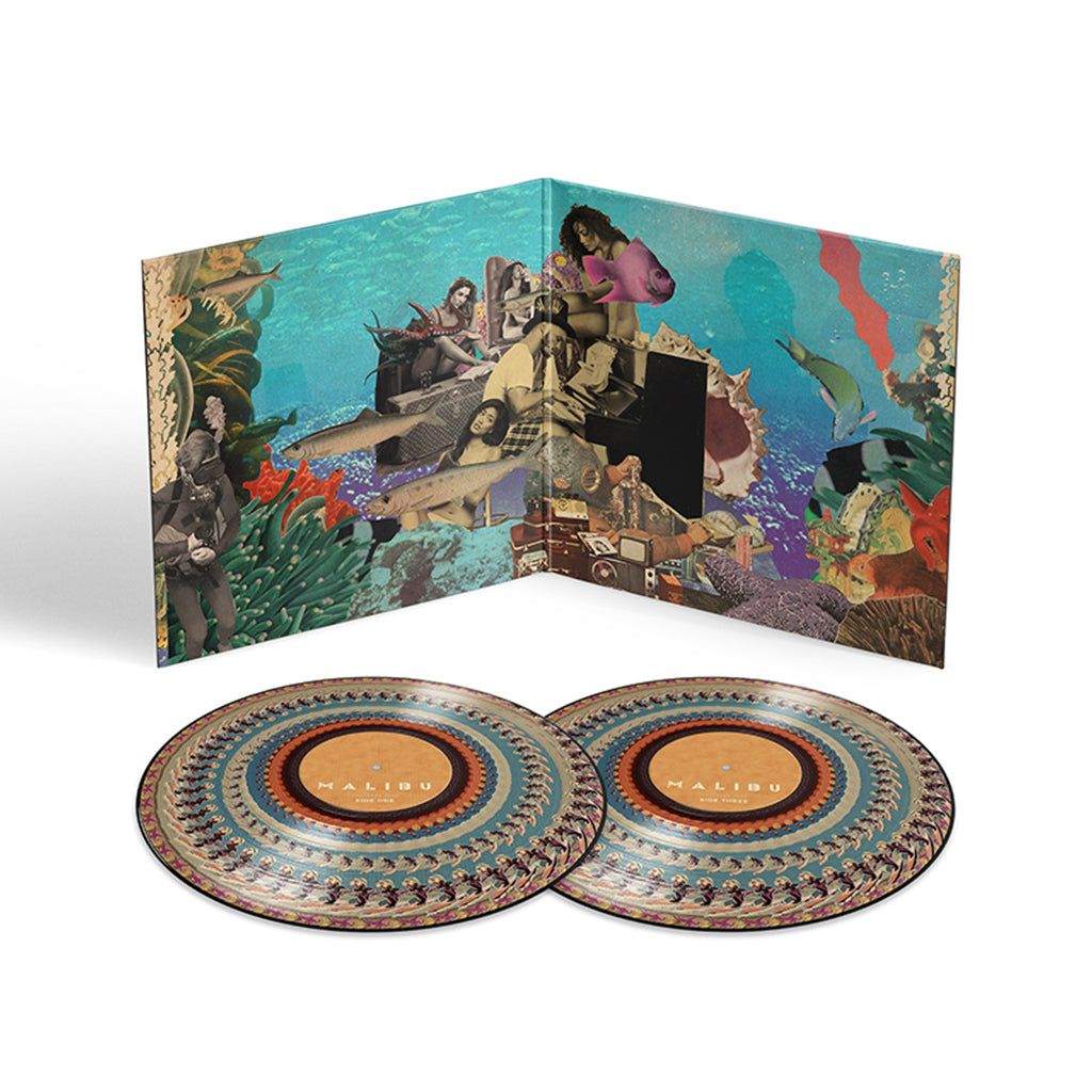 ANDERSON .PAAK - Malibu (10 Year Anniversary) - 2LP - Zoetrope Picture Disc Vinyl [APR 17]