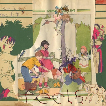 ANIMAL COLLECTIVE - Feels (20th Anniversary Deluxe Edition) - 2CD [OCT 17]