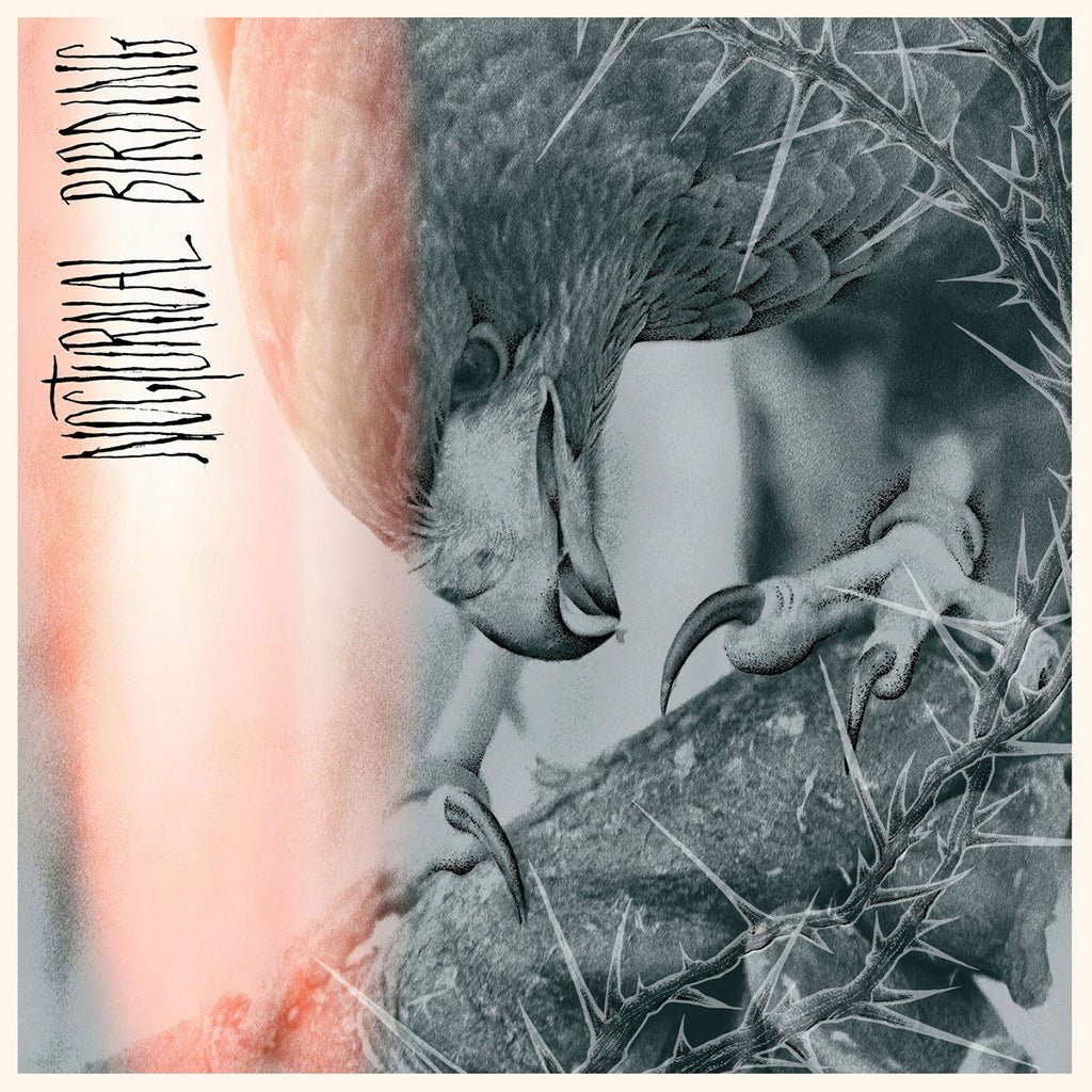 AUTHOR & PUNISHER - Nocturnal Birding - CD [OCT 3]