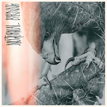 AUTHOR & PUNISHER - Nocturnal Birding - LP - 'Orange & Blue Merge' Colour Vinyl