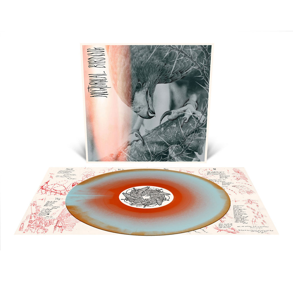 AUTHOR & PUNISHER - Nocturnal Birding - LP - 'Orange & Blue Merge' Colour Vinyl [OCT 17]