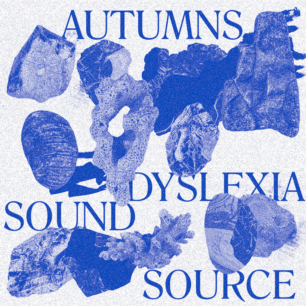 AUTUMNS - Dyslexia Sound Source - LP - Vinyl