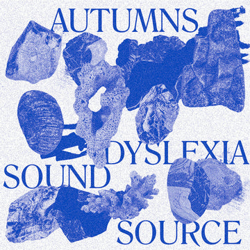 AUTUMNS - Dyslexia Sound Source - LP - Vinyl