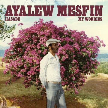 AYALEW MESFIN - Hasabe (My Worries) [Vampisoul Reissue] - LP - 180g Vinyl [SEP 26]
