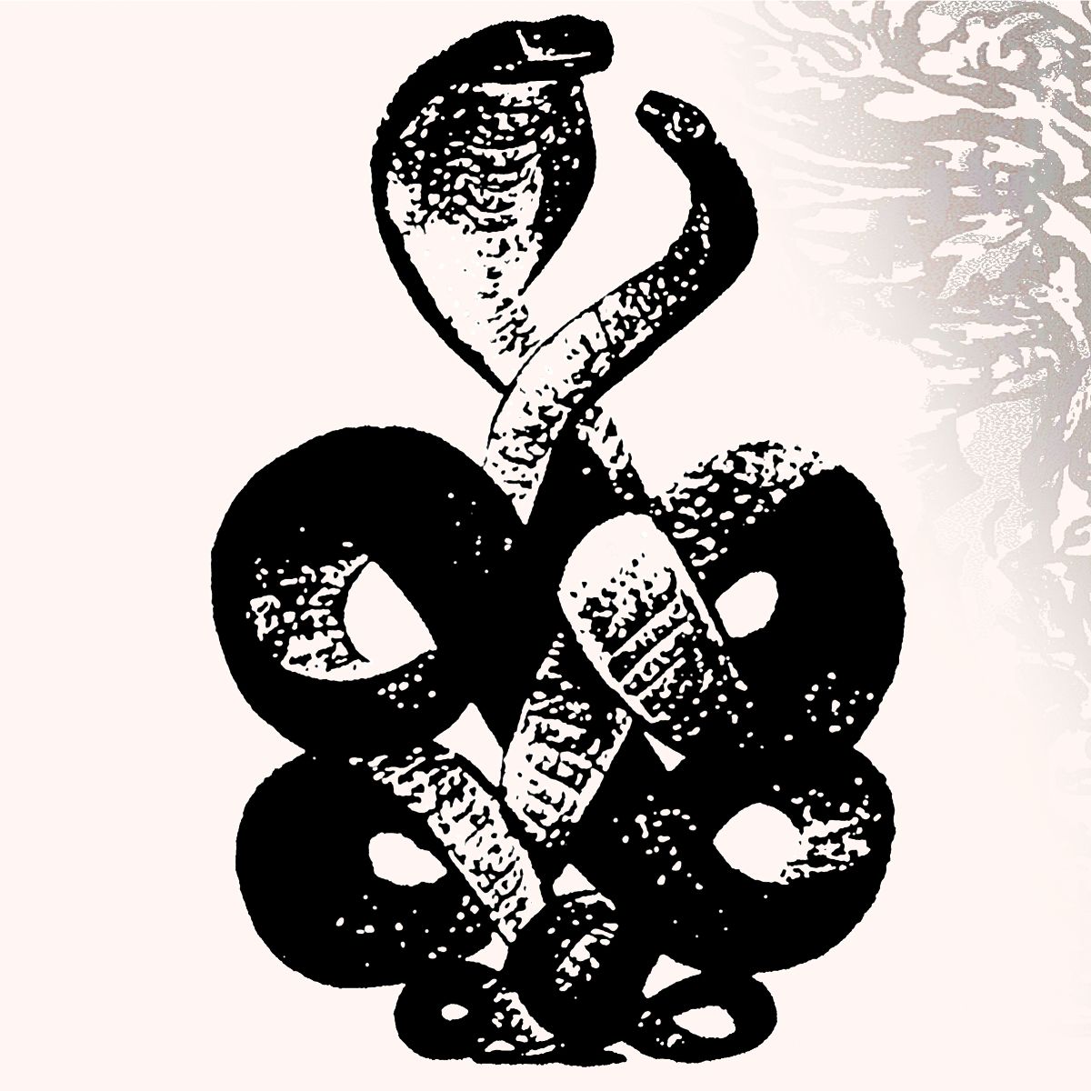 BARDO POND - Volume 4 & 5 - 2LP - Gatefold Vinyl