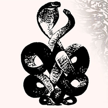 BARDO POND - Volume 4 & 5 - 2LP - Gatefold Vinyl