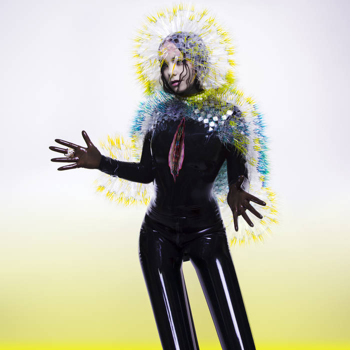 BJÖRK - Vulnicura - 2LP - Vinyl