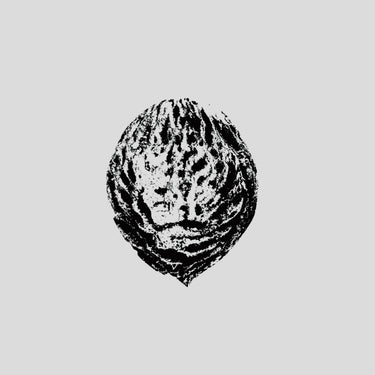 BLACK LIPS - Bebop Armageddon (Detours & Offcuts From Season Of The Peach) - LP - Black Vinyl [SEP 19]
