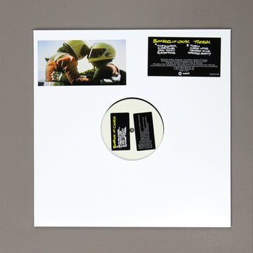 BOARDS OF CANADA - Twoism - LP - Vinyl