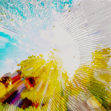 BABE RAINBOW - Slipper imp and Shakaerator - LP - Black Vinyl [APR 4]