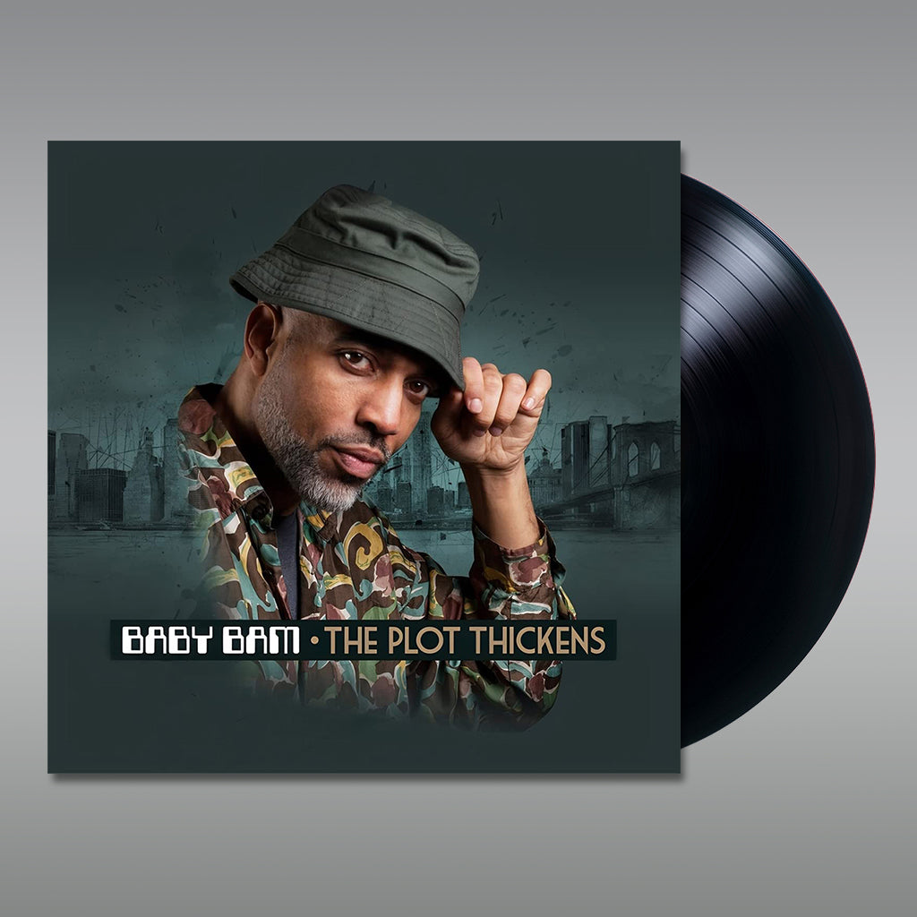 BABY BAM - The Plot Thickens - LP - Vinyl [JUN 16]