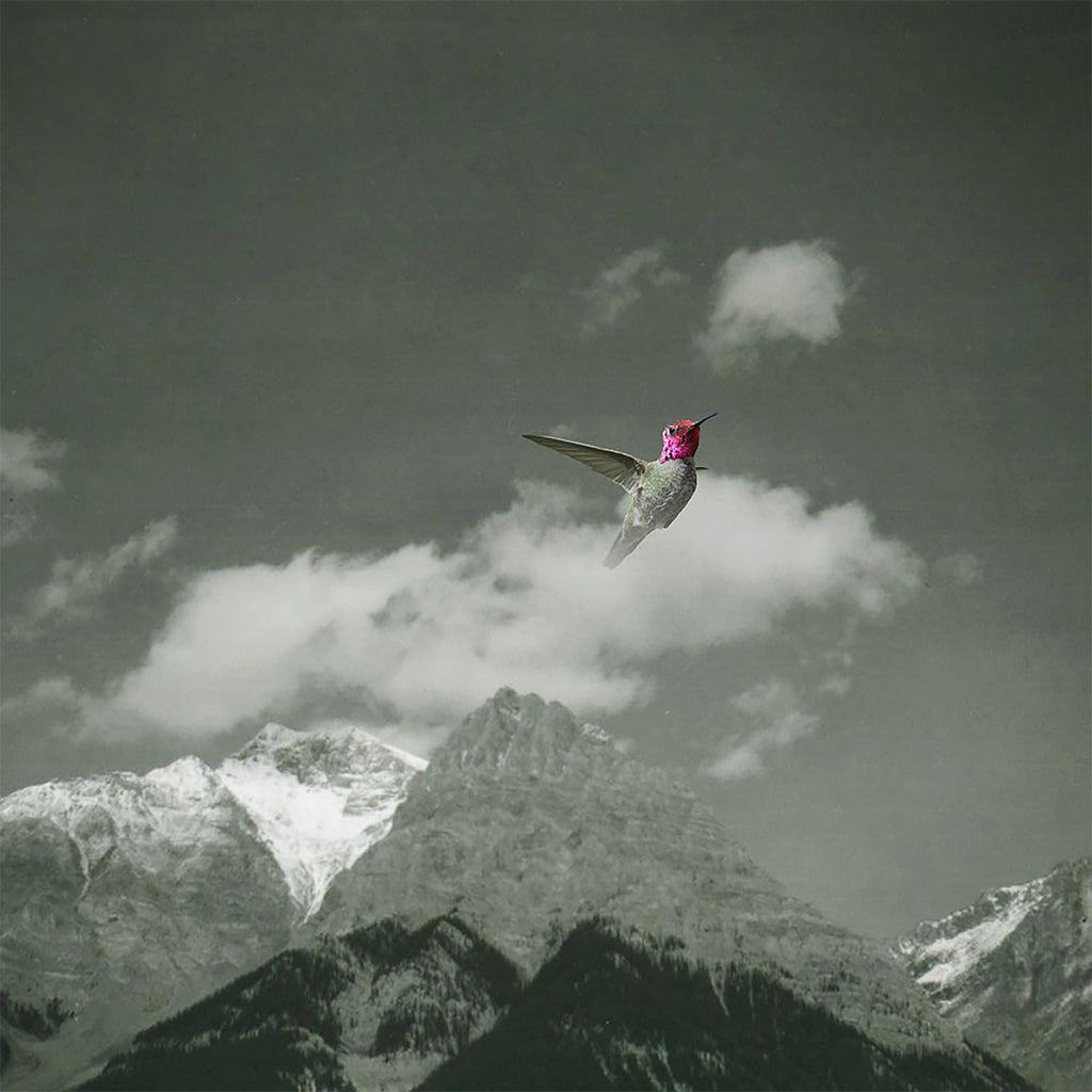 BARDO POND - Melt Away (Rarities from ‘96-’99) - 2LP - Vinyl