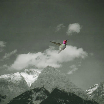 BARDO POND - Melt Away (Rarities from ‘96-’99) - 2LP - Vinyl