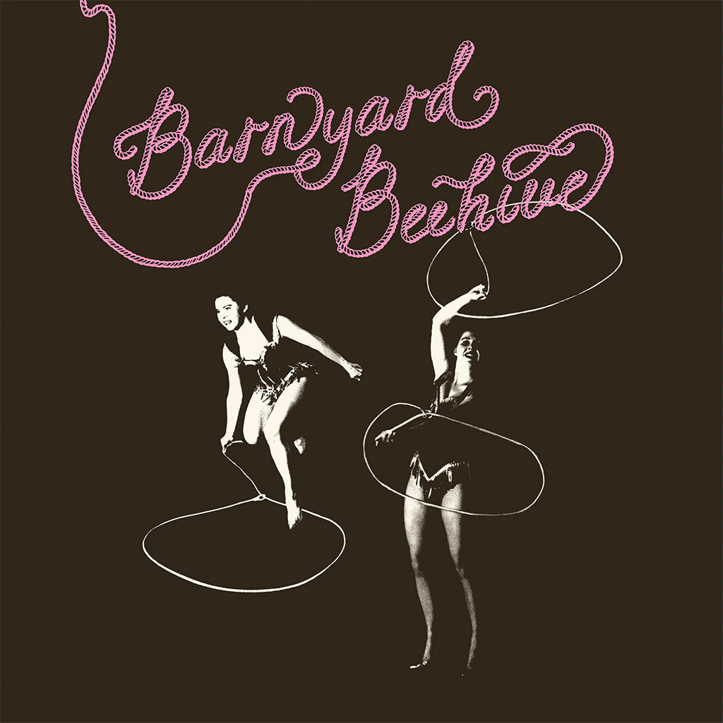 VARIOUS - Barnyard Beehive - LP - Pink Clear Vinyl [FEB 14]