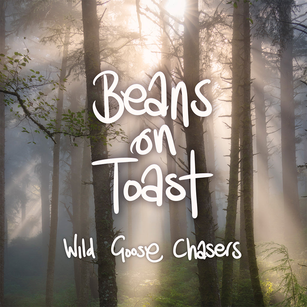 BEANS ON TOAST - Wild Goose Chasers - LP - Picture Disc Vinyl [NOV 29]