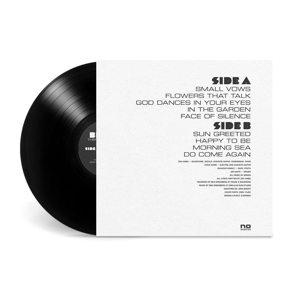 BEINGS - There Is A Garden - LP - Vinyl [JUN 7]