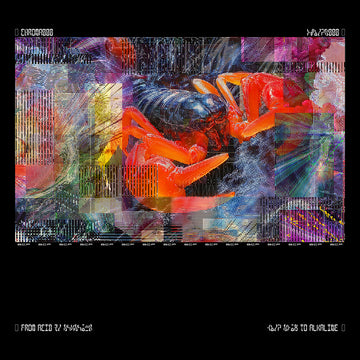 BICEP - CHROMA 000 (Special Edition) - 2LP - Vinyl Box Set [NOV 21]