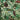 VARIOUS - Big Crown Records presents Crown Jewels Vol. 3 - LP - Vinyl