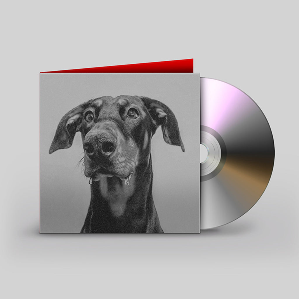 BIG SPECIAL - POSTINDUSTRIAL HOMETOWN BLUES - CD