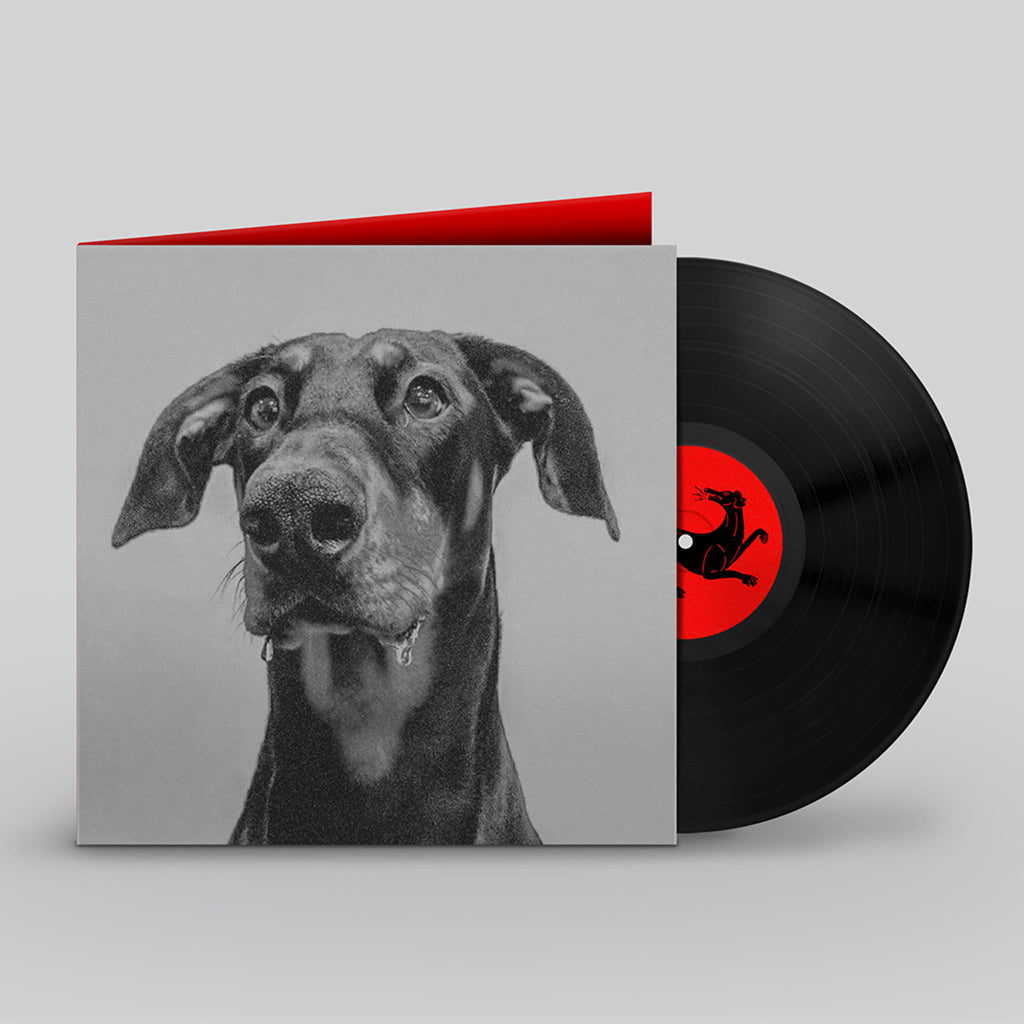 BIG SPECIAL - POSTINDUSTRIAL HOMETOWN BLUES - LP - Gatefold Black Vinyl