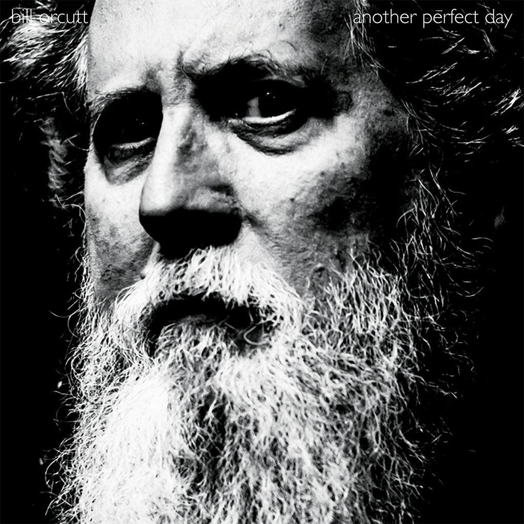 BILL ORCUTT - Another Perfect Day - LP - Vinyl [NOV 14]