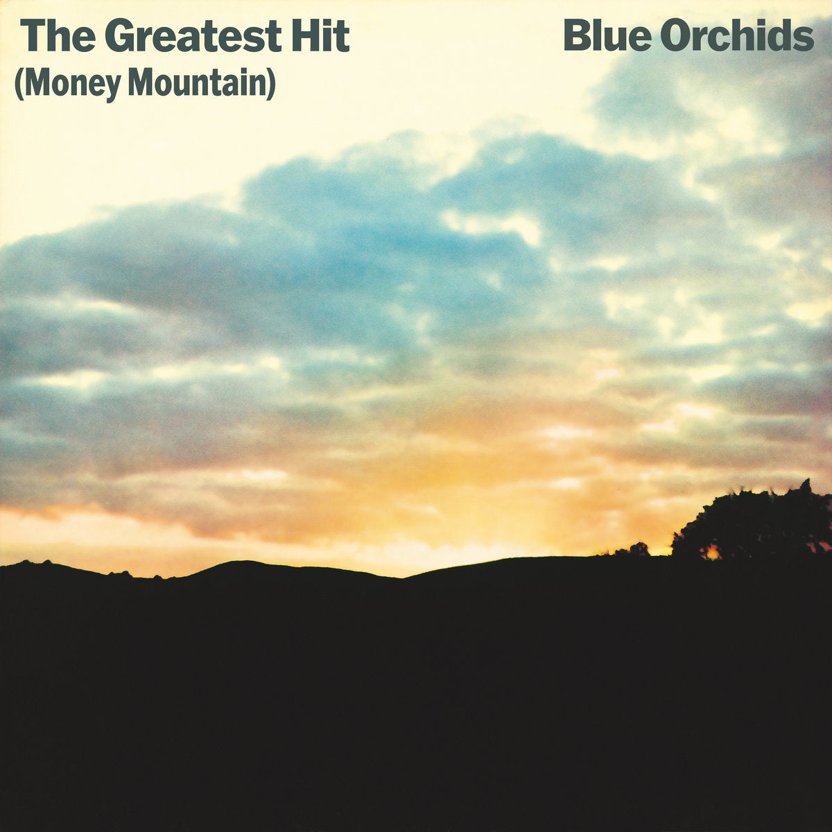 Blue Orchids - The Greatest Hit (Money Mountain) [Deluxe Edition] - 2LP - Vinyl