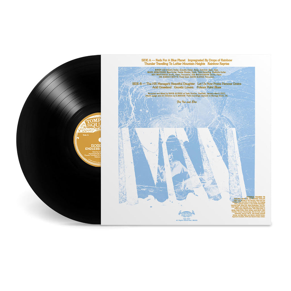 BOBBY LEE - Endless Skyways - LP - Vinyl